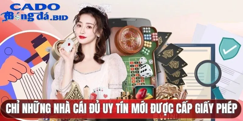 Các Tiêu Chí Để Đánh Giá Trang Cá Độ Bóng Đá Uy Tín