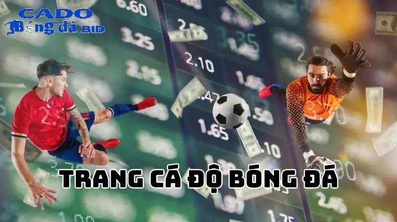 Tổng Quan Về Trang Cá Độ Bóng Đá
