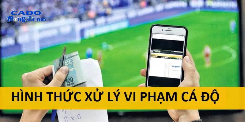 Các hình thức xử lý vi phạm cá độ bóng đá bất hợp pháp