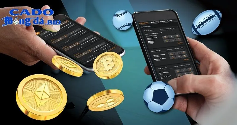 Việc sử dụng tiền điện tử cho các giao dịch cá cược có trở nên phổ biến không?
